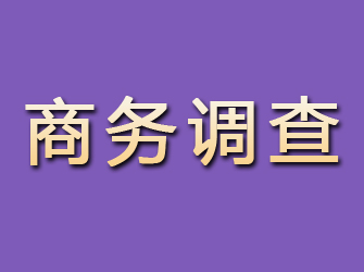 温州商务调查公司